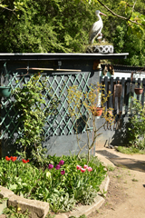 Cliquez sur la vignette pour l'agrandir